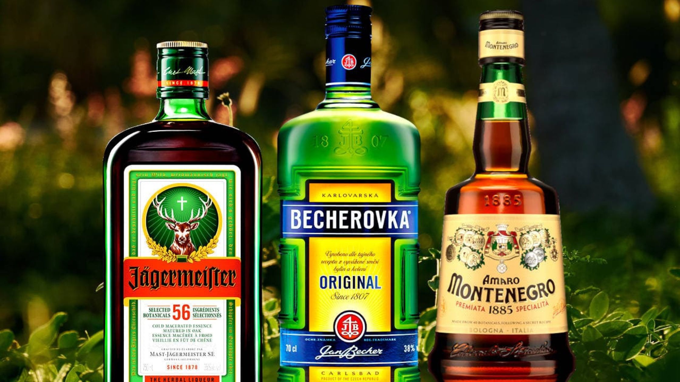 Herbal & Spice Liqueurs